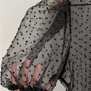 Zara Black Sheer Polka Dot Top